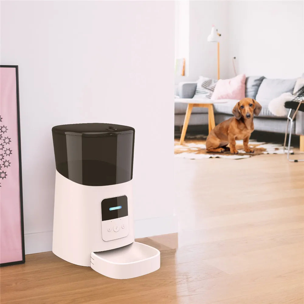 MyPetsBay™ 6L Smart Automatic Pet Feeder – WiFi App Control, Scheduled Feeding, Voice Call, Dual Power Supply for Cats, Puppies & All Dog Breeds