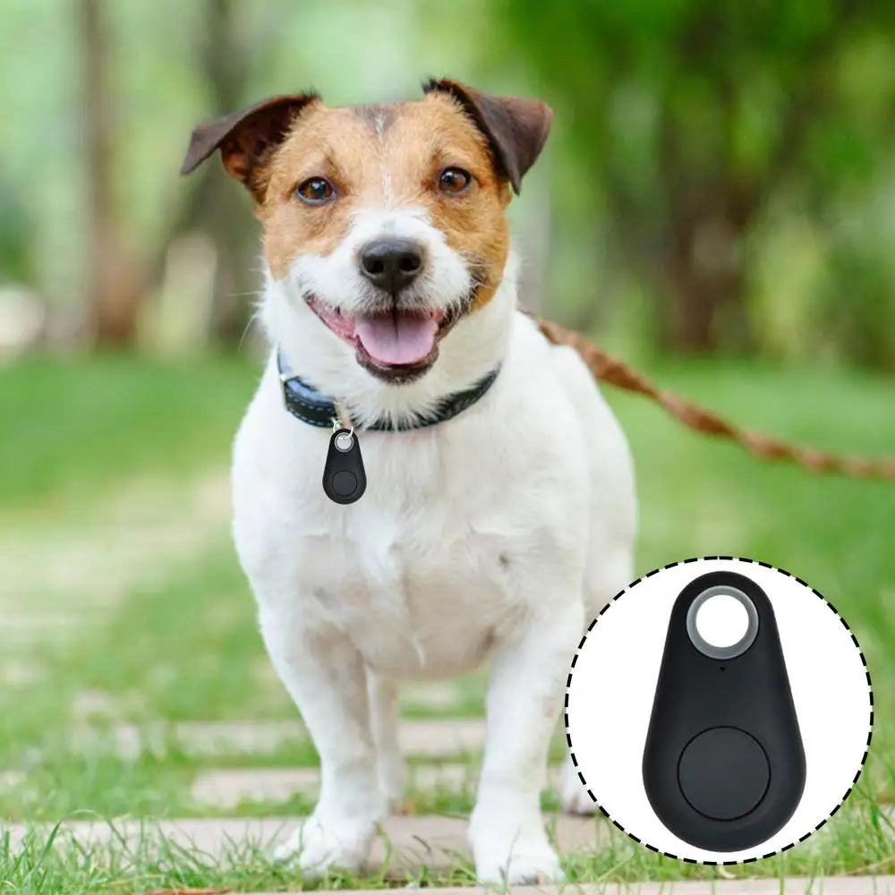 MyPetsBay™ Smart Mini GPS Tracker Real-Time Locator for Pets