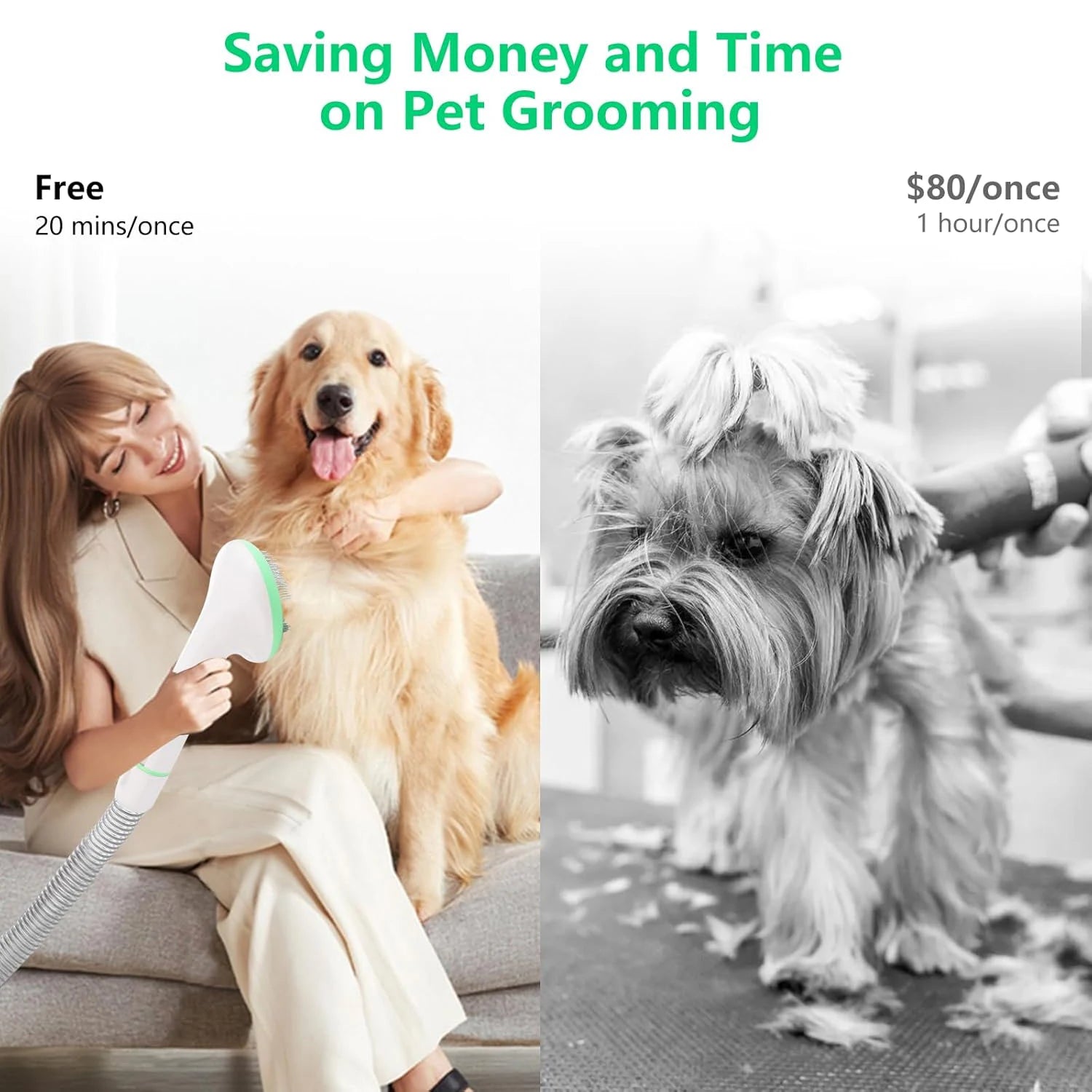 MyPetsBay™ Professional Pet Grooming Vacuum Kit 2L Silent Hair Collector with 5 Grooming Tools & 16-Level Suction for Dogs & Cats