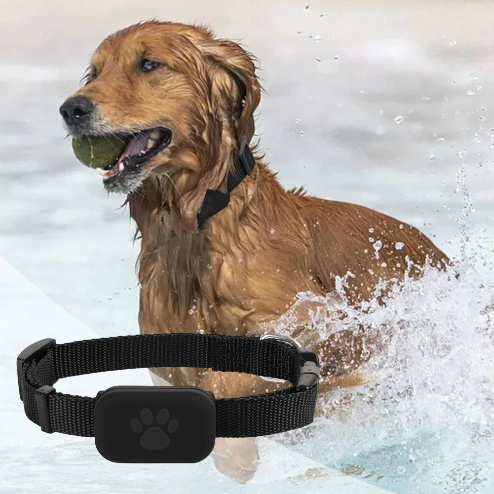MyPetsBay™ Smart GPS Tracker Collar Real-Time Pet Locator for Dogs & Cats