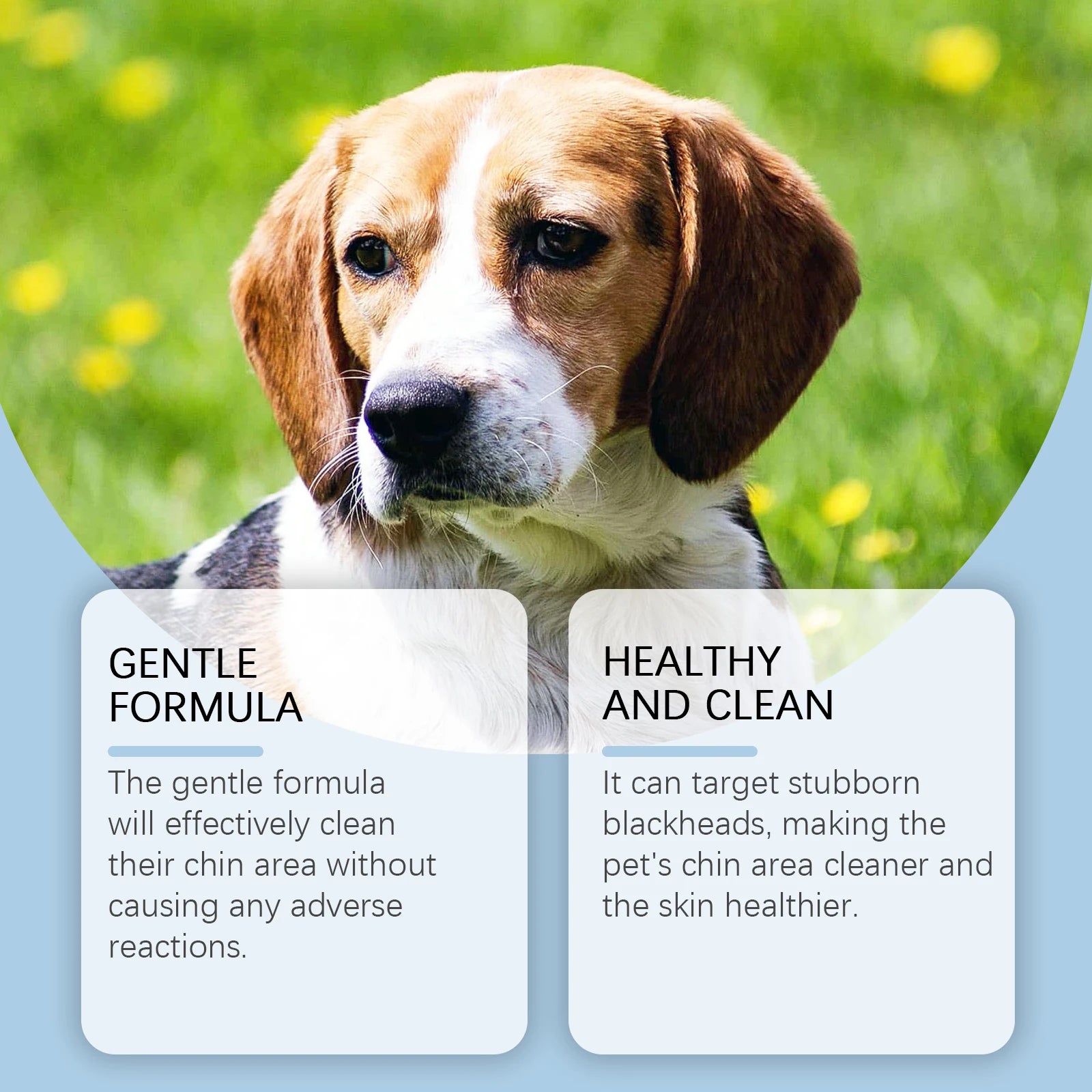 MyPetsBay™ Pet Oral & Chin Care Cleaning Kit