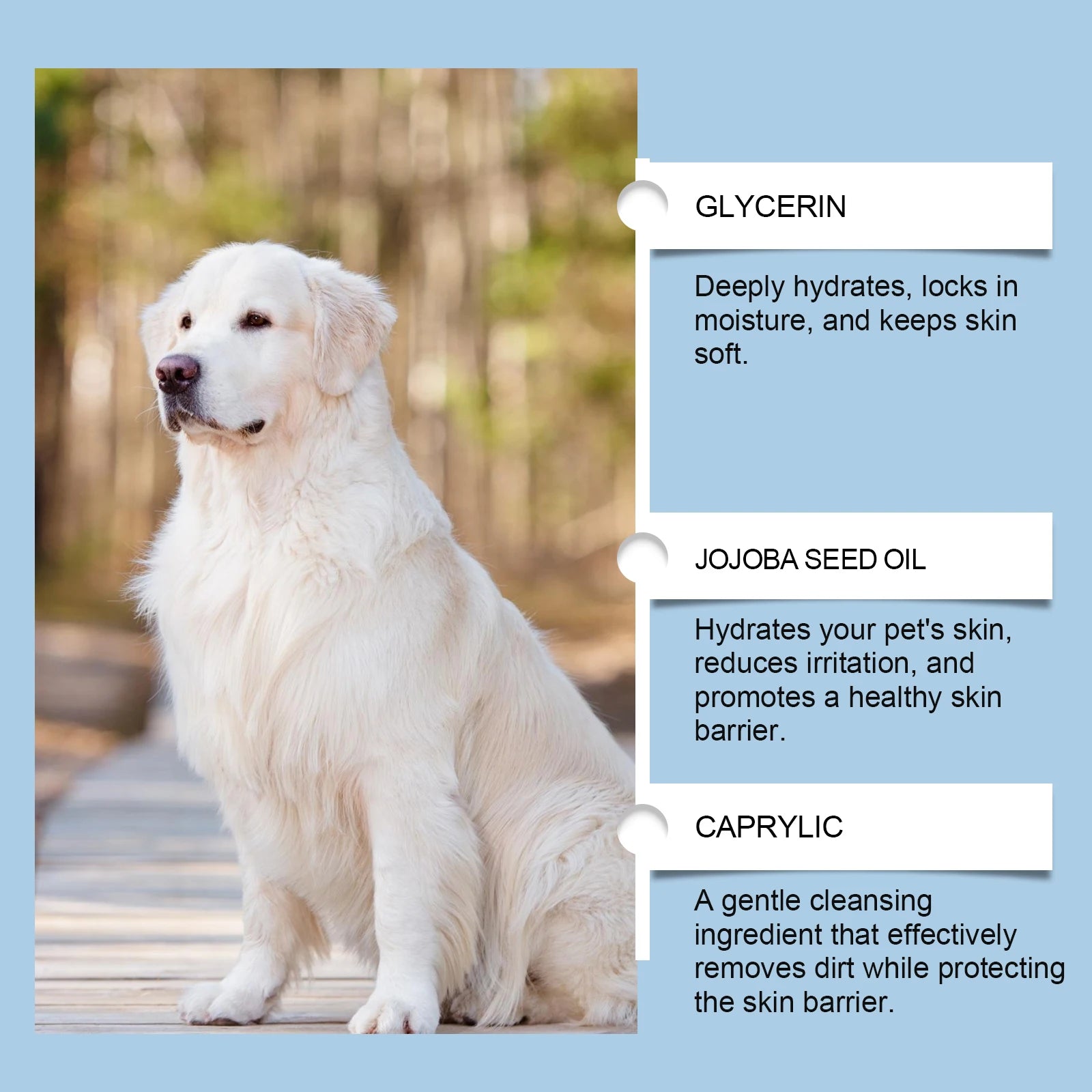 MyPetsBay™ Pet Oral & Chin Care Cleaning Kit