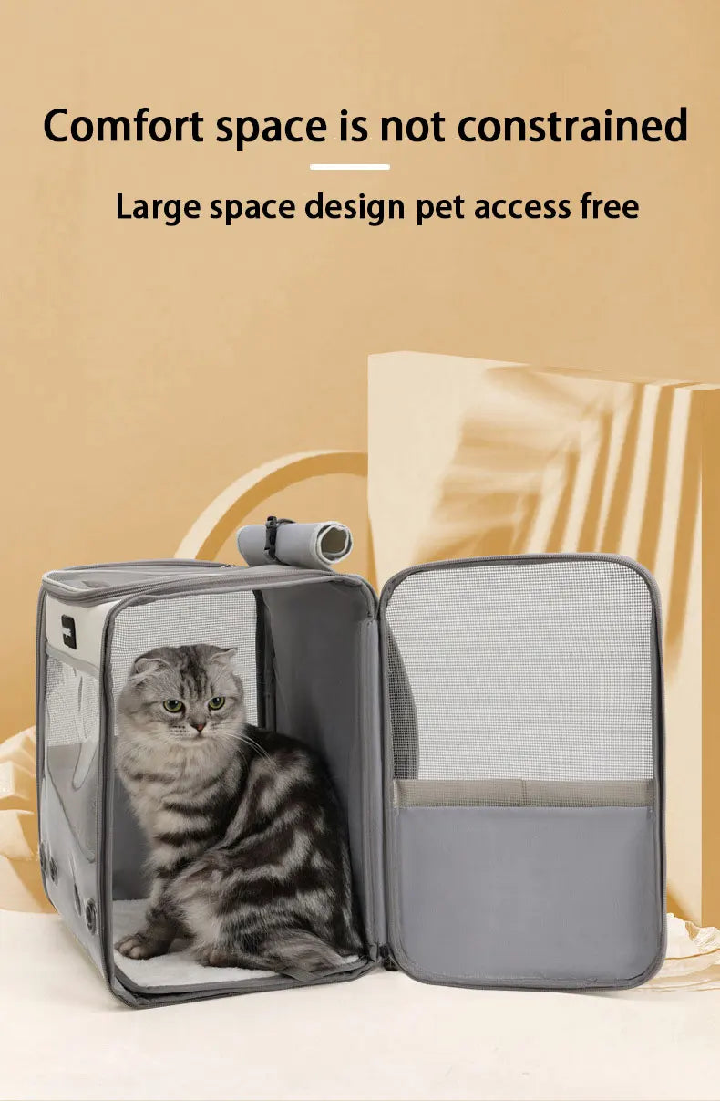 MyPetsBay™ Transparent Pet Backpack Comfort & Adventure for Your Furry Friend