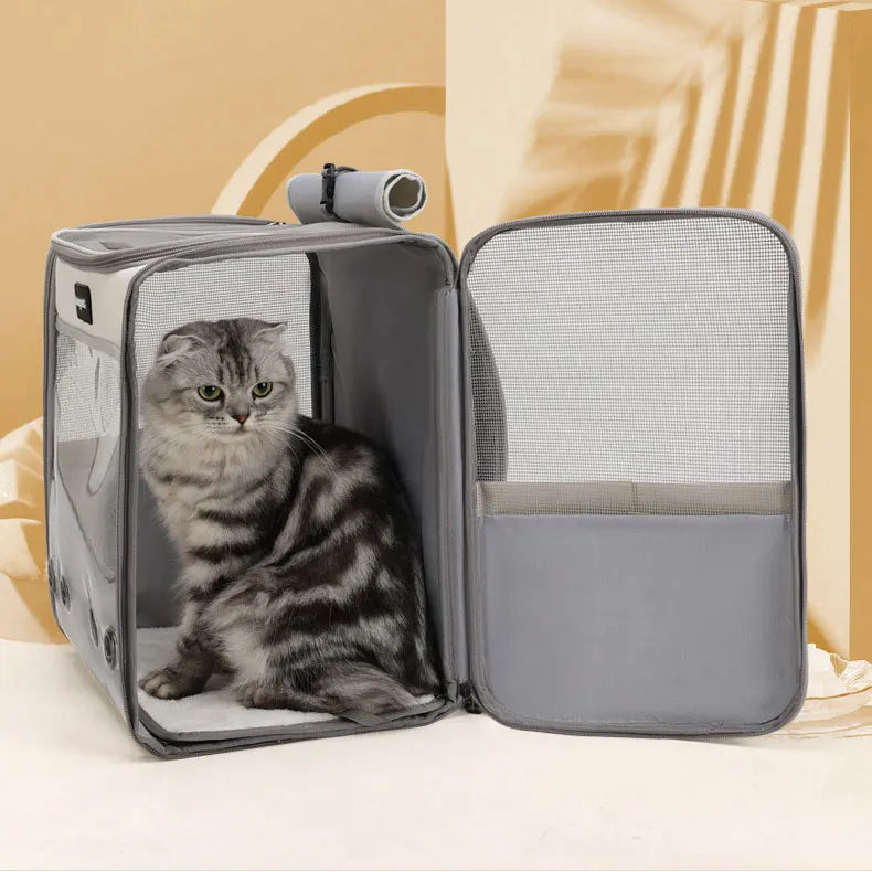 MyPetsBay™ Transparent Pet Backpack Comfort & Adventure for Your Furry Friend