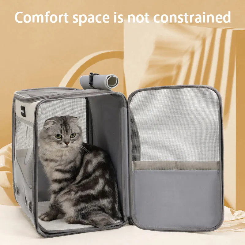 MyPetsBay™ Transparent Pet Backpack Comfort & Adventure for Your Furry Friend