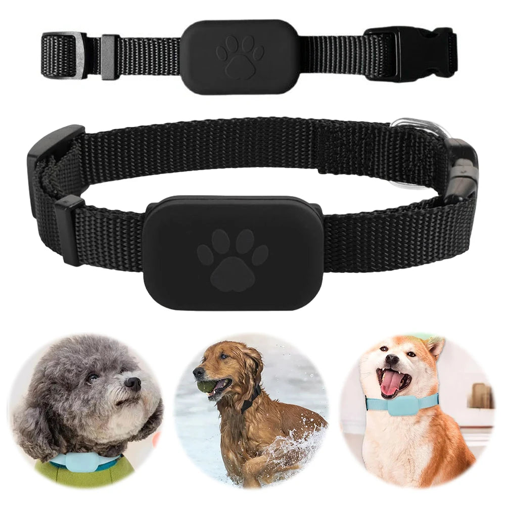 MyPetsBay™ Smart GPS Tracker Collar Real-Time Pet Locator for Dogs & Cats